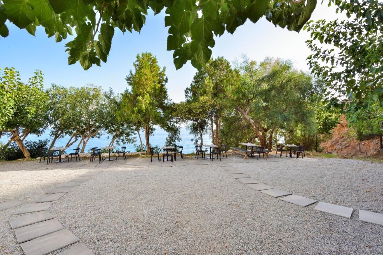 Ilingas Mare Lejlighedshotel Khóra Sfakíon Eksteriør billede